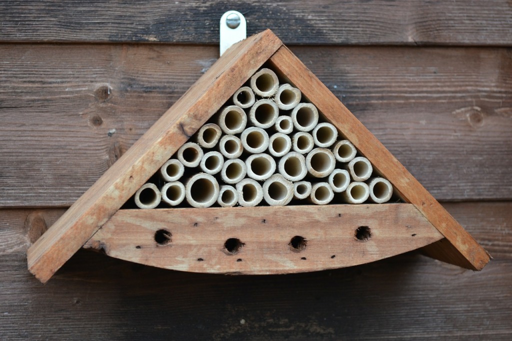 insect-house-267547_1280-1024x682